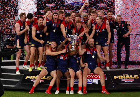 Melbourne Demons thump Western Bulldogs by 74 points in AFL .